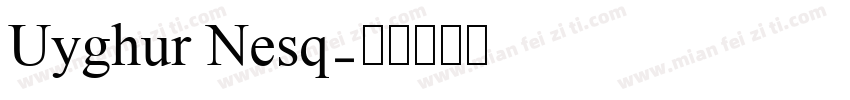 Uyghur Nesq字体转换